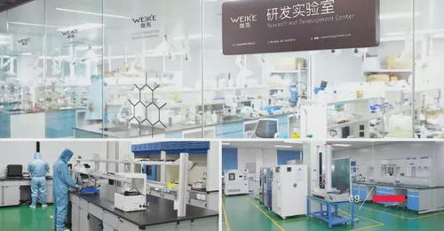品質創(chuàng)新研發(fā)，鑄就輝煌——東莞膜材涂布廠的能源技術新篇章