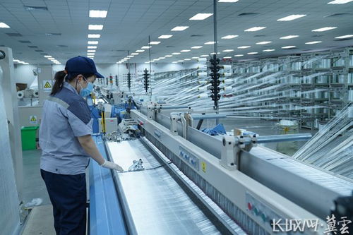 學思用貫通 知信行統(tǒng)一 冀中能源打造百億級玻璃纖維產業(yè)集群與新興能源技術研發(fā)