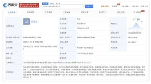 華為成立數(shù)字能源公司，加快布局充電與換電網(wǎng)絡(luò)及新興能源技術(shù)